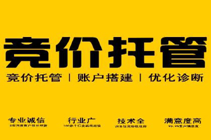 某品牌SEM广告投放案例：如何提高转化率